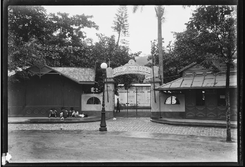 Museus de ciência e seus visitantes no início do século XXI: estudo  longitudinal da visitação espontânea de cinco instituições da cidade do Rio  de Janeiro