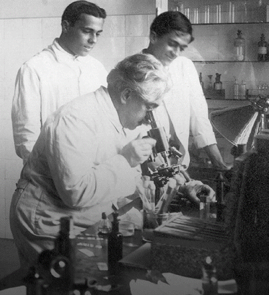 Oswaldo Cruz ao microscópio em laboratório de Manguinhos, observado por seu filho Bento Oswaldo Cruz e por Burle de Figueiredo, 1910. Rio de Janeiro, RJ (Detalhe da foto) / Acervo Casa de Oswaldo Cruz