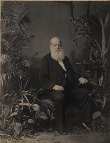 Joaquim Insley Pacheco. Pedro II, Imperador do Brasil : retrato, 1883 / Acervo FBN